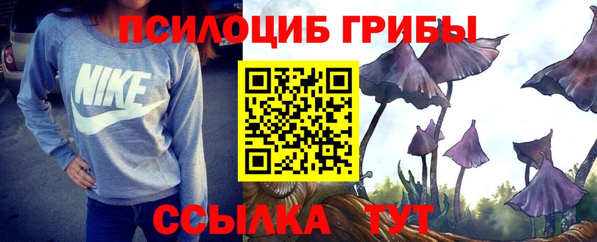 Псилоцибиновые грибы прущие грибы  Вход с VPN  Лиски 